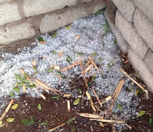 મોરબી : અમુક ગ્રામ્ય વિસ્તારોમાં કમોસમી વરસાદ સાથે કરા પણ પડ્યા