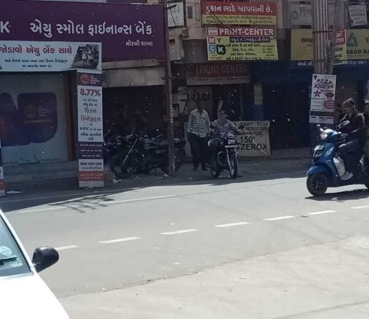 મોરબીમાં મસી નામની જીવાતનો ઉપદ્રવ : લોકો પરેશાન