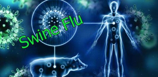 અરવલ્લી જીલ્લામાં સ્વાઈનફ્લૂનો ભરડો ૨ મહિનામાં ૨૩ કેશ પોઝિટીવ : ૨૪ કલાકમાં ૩ સ્વાઈનફ્લૂ પોઝિટીવ