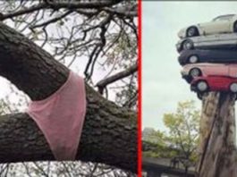 આ 15 તસવીરો ને જોઈને ચકરાવા લાગશે તમારું મગજ