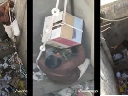 મોરબી કર્તવ્ય જીવદયા કેન્દ્રના સભ્યો દ્વારા ૧૨ ફુટ ઊંડા ખાડામાંથી બિલાડીને બહાર કાઢીને બચાવાઈ