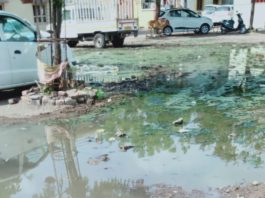 મોરબીના વાવડી રોડ પર સ્કૂલ અને સોસાયટી પાસે ઉભરાતી ગટરની ગંદકીથી લોકો ત્રાહિમામ