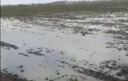 માળિયા : મચ્છુ કેનાલમાં પાણી છોડાતા માળીયાના ફગશિયા ગામે ખેતરો પાણીમાં ગરકાવ