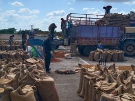 હળવદમાં ટેકાના ભાવે થતી ચણાની ખરીદી કાલથી બંધ થશે!