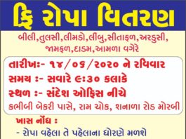 મોરબીમાં રવિવારે નિ:શુલ્ક રોપા વિતરણ કરવામાં આવશે