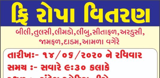મોરબીમાં રવિવારે નિ:શુલ્ક રોપા વિતરણ કરવામાં આવશે
