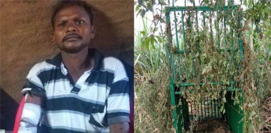 તાપીના સોનગઢના સિંગપુર ગામની સીમમાં ઘાસ કાપી રહેલા એક યુવાન પર ઓચિંતો દીપડાનો હુમલો