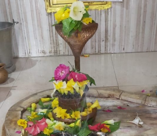 વાંકાનેર : ઘર બેઠા કરો સ્વયંભૂ પાતાળેશ્વર મહાદેવદાદા ના દર્શન: VIDEO