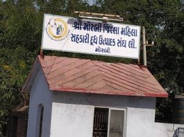મોરબીની મયુર ડેરી દ્વારા પશુપાલકોને એક વર્ષમાં રૂ.16.51 કરોડનો ભાવફેર ચૂકવવામા આવ્યો