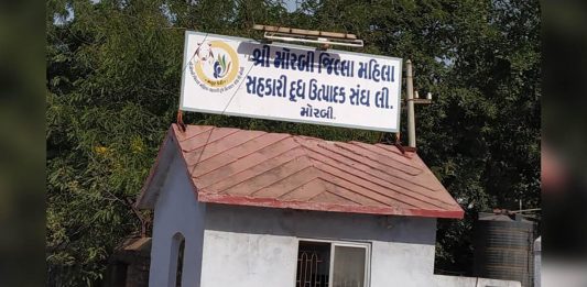 મોરબીની મયુર ડેરી દ્વારા પશુપાલકોને એક વર્ષમાં રૂ.16.51 કરોડનો ભાવફેર ચૂકવવામા આવ્યો