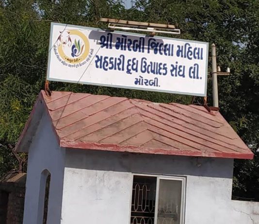 મોરબીની મયુર ડેરી દ્વારા પશુપાલકોને એક વર્ષમાં રૂ.16.51 કરોડનો ભાવફેર ચૂકવવામા આવ્યો