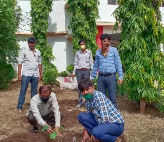 મોરબી: જોધપર (નદી) ગામમાં ઔષધી બાગ માટે વૃક્ષારોપણ કરાયું