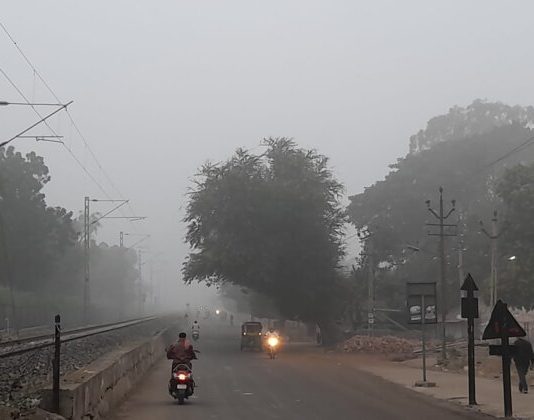 મોરબીમાં કમોસમી વરસાદ બાદ આજે વ્હેલી પરોઢે ધુમ્મસ ભર્યું વાતાવરણ