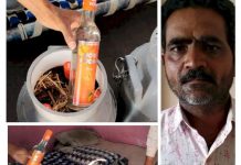 વાંકાનેરના દૂધના કેનમાં દારૂની હેરફેરી કરનાર રાજકોટનો શખ્સ ૮૪ બોટલ દારૂ સાથે ઝડપાયો