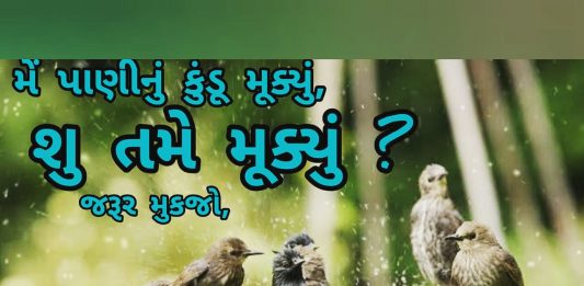 મોરબીમાં ‘માઁ જીવદયા ગૃપ’ દ્વારા પક્ષીઓ માટે પાણીના કુંડા નું વિનામુલ્યે વિતરણ