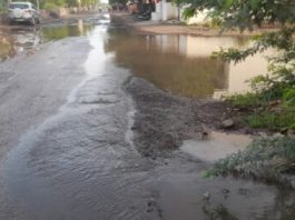 ભડીયાદમાં પાઈપલાઈન તૂટતા પાણીનો બગાડ : વગર વરસાદે તલાવડા ભરાયા