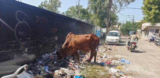 મોરબીના છાત્રાલય મેઈન રોડ ઉપર ગંદકીના ઢગલા
