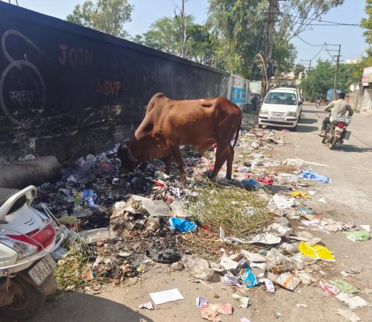 મોરબીના છાત્રાલય મેઈન રોડ ઉપર ગંદકીના ઢગલા