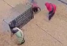 હળવદમાં માવઠું થતા તૈયાર મગફળી ઉભી બજારે તણાઈ ગઈ !!