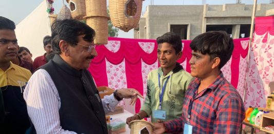 મંત્રી બ્રિજેશ મેરજાની હાજરીમાં ભારતીય સંસ્કૃતિ પ્રદર્શની તથા બિઝનેસ ટાઇકૂન એવોર્ડ સમારોહ યોજાયો