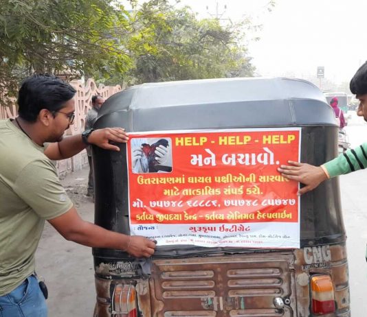 મોરબીમાં ઉત્તરાયણે પક્ષીઓને બચાવવા કર્તવ્ય જીવ દયા ગૃપની ઉત્કૃષ્ટ સેવા