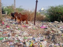 મોરબીના લાયન્સનગર વિસ્તારમાં કચરાના ઢગલા