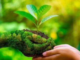 નવરંગ નેચર કલબ દ્વારા રવિવારે ફુલછોડના રોપા તથા વિવિધ ચીજવસ્તુઓનું રાહતદરે વિતરણ કરાશે