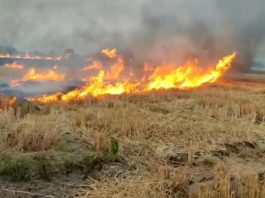 ટંકારા તાલુકાના બે ખેતરોમાં આગ : ઘઉંનો ઉભો પાક બળી ગયો !!