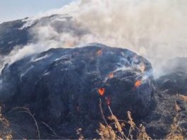 રવાપર નજીક મગફળીના ફોતરાના ઢગલામાં આગ લાગી