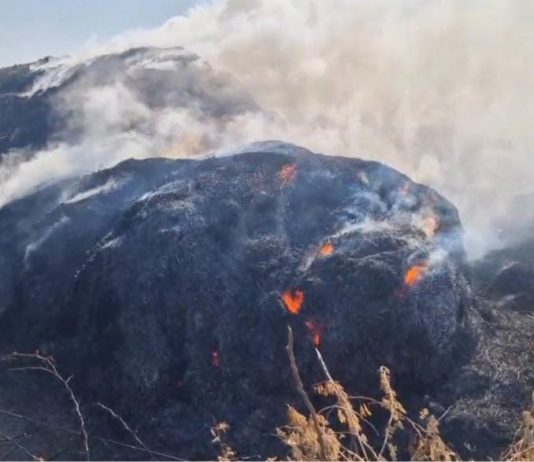 રવાપર નજીક મગફળીના ફોતરાના ઢગલામાં આગ લાગી
